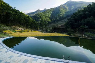 山上水池建设,山上建水池风水好吗