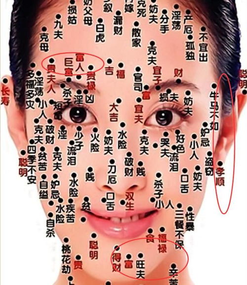 古代相术玄学大乱炖