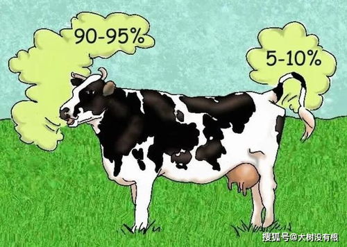 感到不安：环境变化的反应？