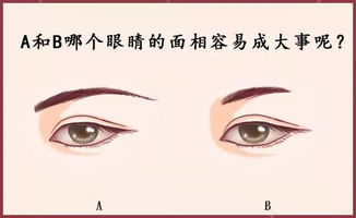 1.1 眼皮玄学大揭秘