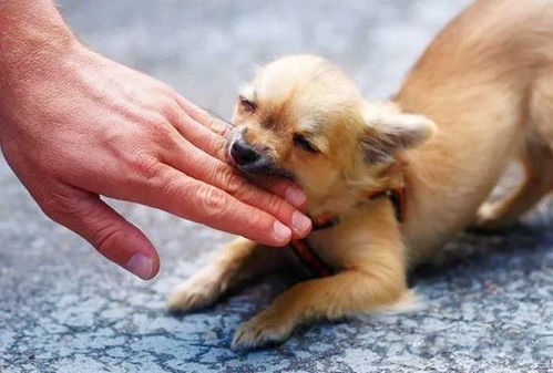 七月的天气与人心