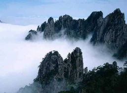 第二天的旅程：黄山风景区较深度游