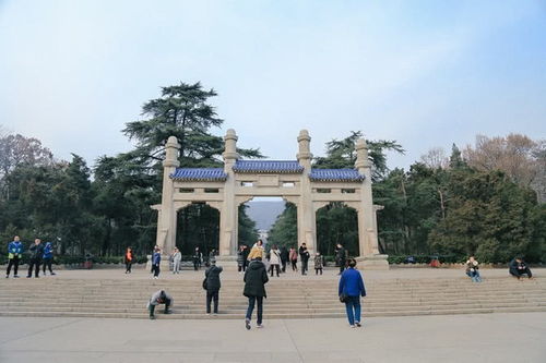 中山陵——祭奠与逛草坪的双沉重体验