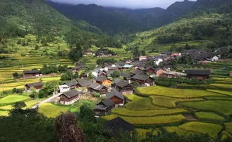1. 桔香花海景区