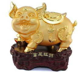 属猪人西北方位财运如何，西北方位财运具体指什么？