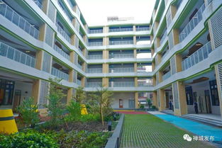 小学东校区,小学东校区