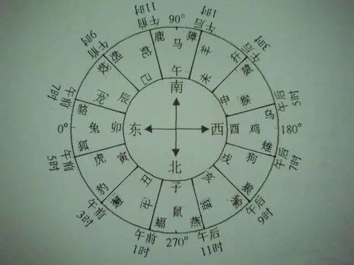 12生肖八卦图正版彩图是哪种样式？