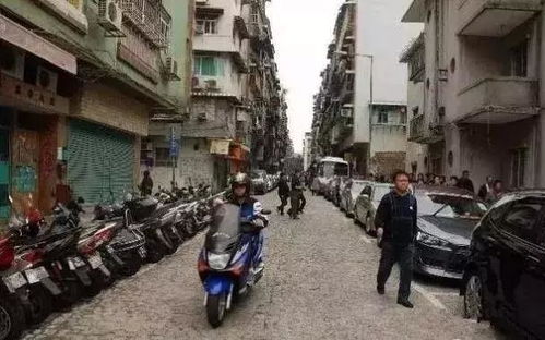 广东开平农村风水大师名单,广东开平农村风水大师名单