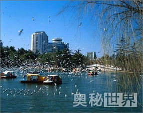 滇池奇观：免费？做梦！