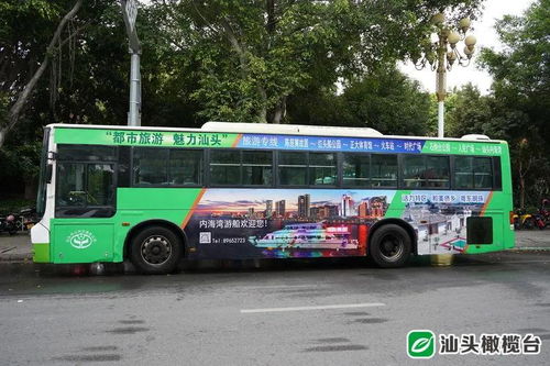 公交文化底蕴：一种独特的社交体验