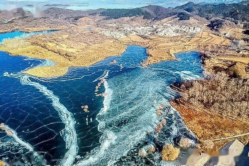 最佳时机：爱来不来