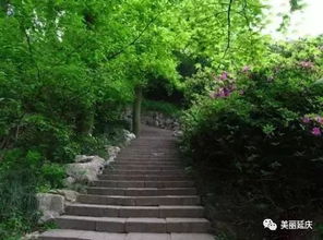 交通方式 & 随机迷路指南
