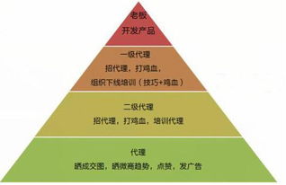 4. 商业活动领域