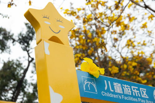 实用信息汇总