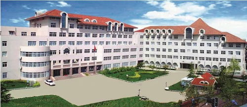 学校周边的小秘密：穷游党的福音还是陷阱？