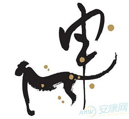给猴年男宝宝取名的建议