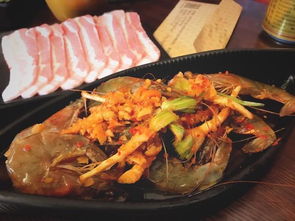 2026年最新避坑指南