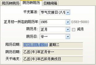 - 年份与月份的细致核算