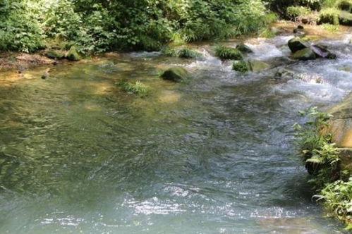 工厂旁边有河风水,房子左边有小溪风水好不好