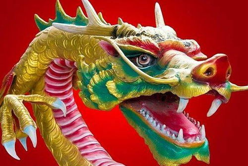 1976年属龙人的幸运密码