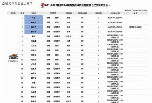 2. 趋势路线：追求个性与特色