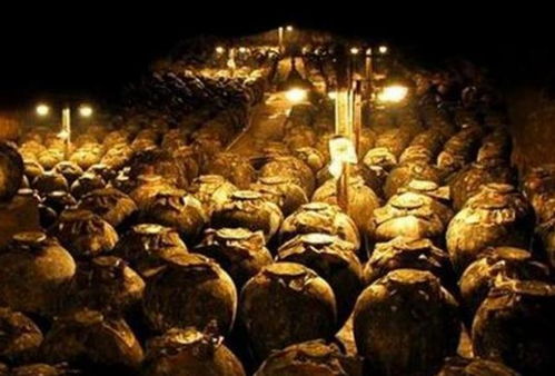 酒吧血案与古墓煞气的关联