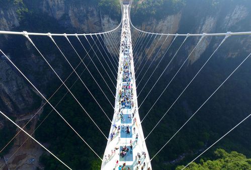穿越时空：银川至张家界的品质之旅（或者说是乱套之旅）