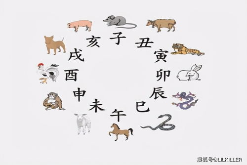 高顺是什么生肖年，他的属相是什么意思？