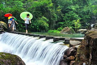 除了看风景，还能干啥？