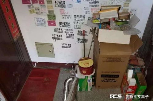 垃圾！垃圾！还是垃圾！