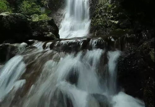 我的个人感受（可嫩毫无意义）