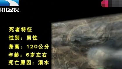 拆解“瑞宇晨光之子”：声音、 意义与五行