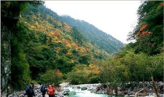 震惊！林州景区门票价格竟在2026年出现诡异波动