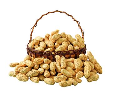 孕妇梦见花生，是预示着要生男孩吗？