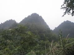 龙形天下风水,龙行天下风水堪舆论坛