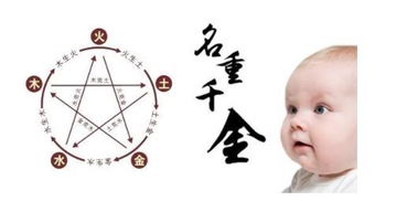 生辰八字基础知识（简化版）