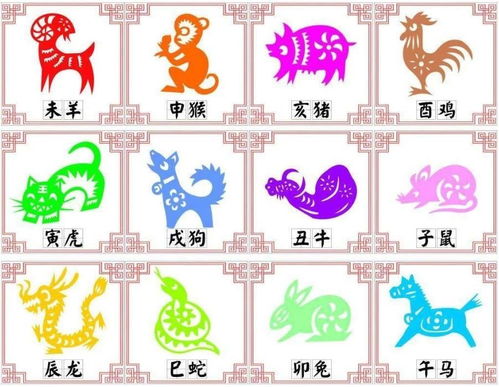 十二生肖智商排名中，生肖蛇的智商排名具体是多少呢？