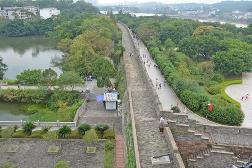 3.1 城墙上的“广告牌”现象