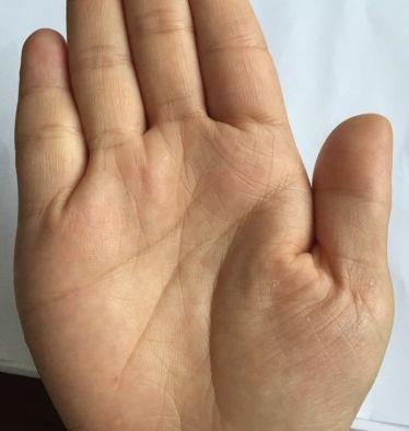 手相中哪些特征预示着苏民峰式的婚姻幸福？