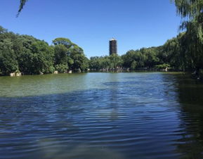 西门：未名湖的挽留与文雅的陷阱