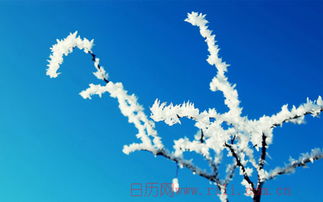 霜降结婚？脑子被门夹了吧