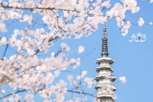 九月份威海旅行攻略