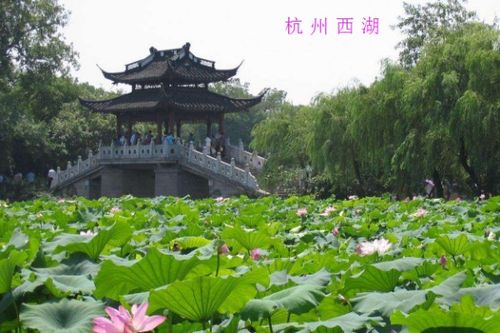 震惊！四眼井的青旅藏着惊天秘密