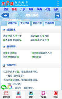 美名腾智能起名网免费版下载地址在哪里？——一场关于名字的古老与现代化的迷乱