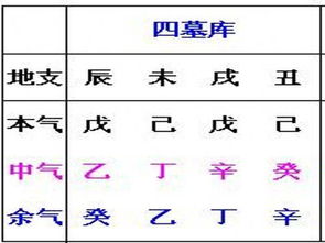 辰戌丑未四库全八字中，辰戌丑未四库的详细解读是怎样的？