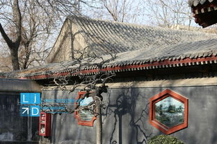 13. 中山国的“前世今生”