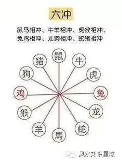 先抛个硬币——我到底是属什么？