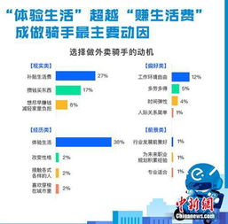收入情况：一场现实与幻想的碰撞