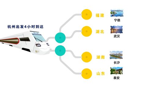 1.1 武汉市官方声明