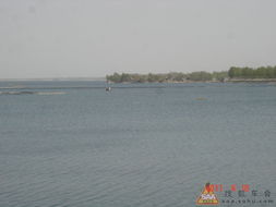 东平河边,东平河边